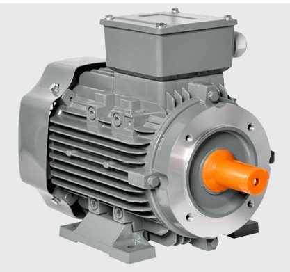 Tecnamic Electric Motor